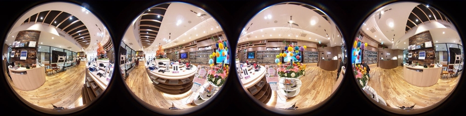 Dual Fisheye Image