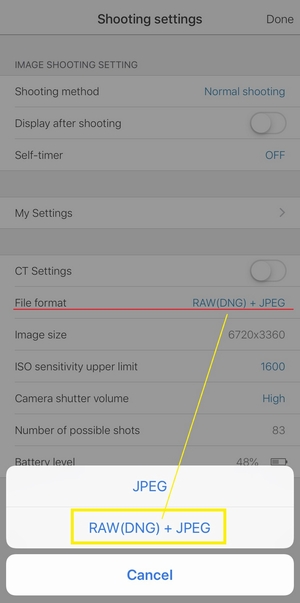 RAW(DNG) Photo Basic Workflow